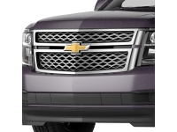 Front Grille with Chrome Mesh
