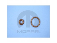 Fuel Injector O Ring Kit
