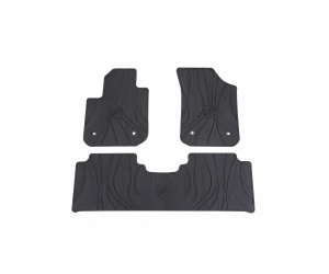 Front and Rear All-Weather Floor Mats