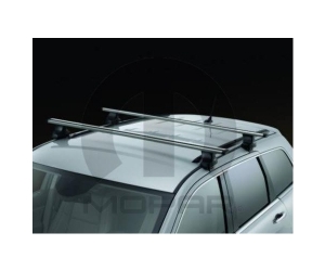 Thule Removable Roof Rack